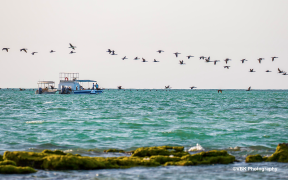 Nature Matters, our wetlands need you.