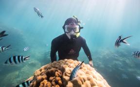An Ocean of Benefit - diver around coral fish