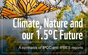 WWF-Climate report cover