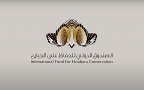 Houbara-op-ed-thumbnail