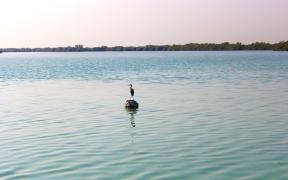 nature-based-solutions