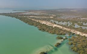 Khor Faridah Edge of mangrove forest