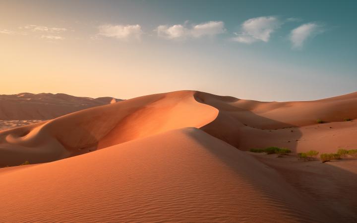 Partner with us - Donate