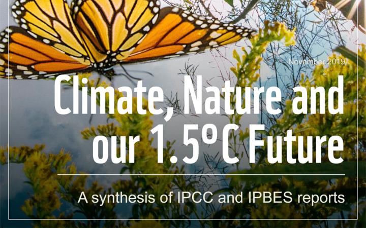 WWF-Climate report cover