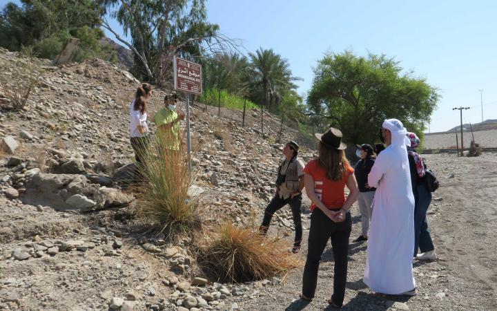 Ahabib about the project