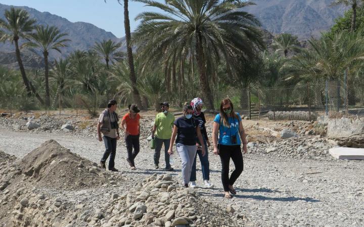 Ahabib conservation in action