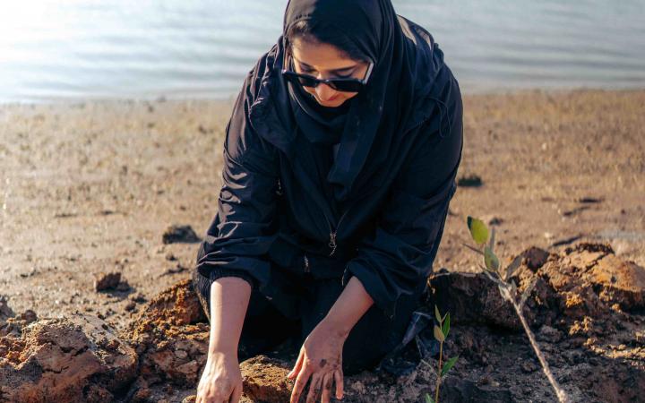 Emirati Planting
