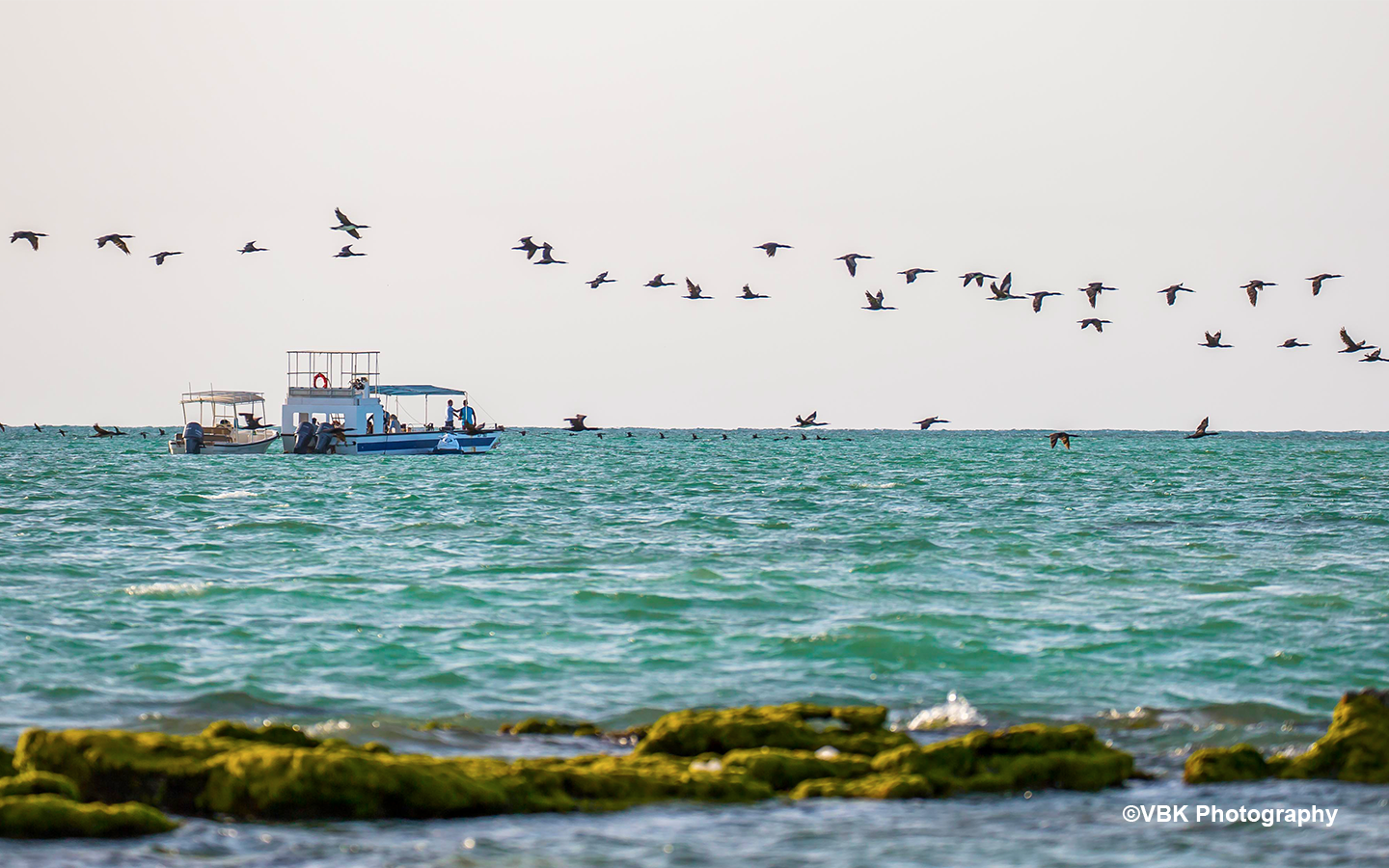 Nature Matters, our wetlands need you.