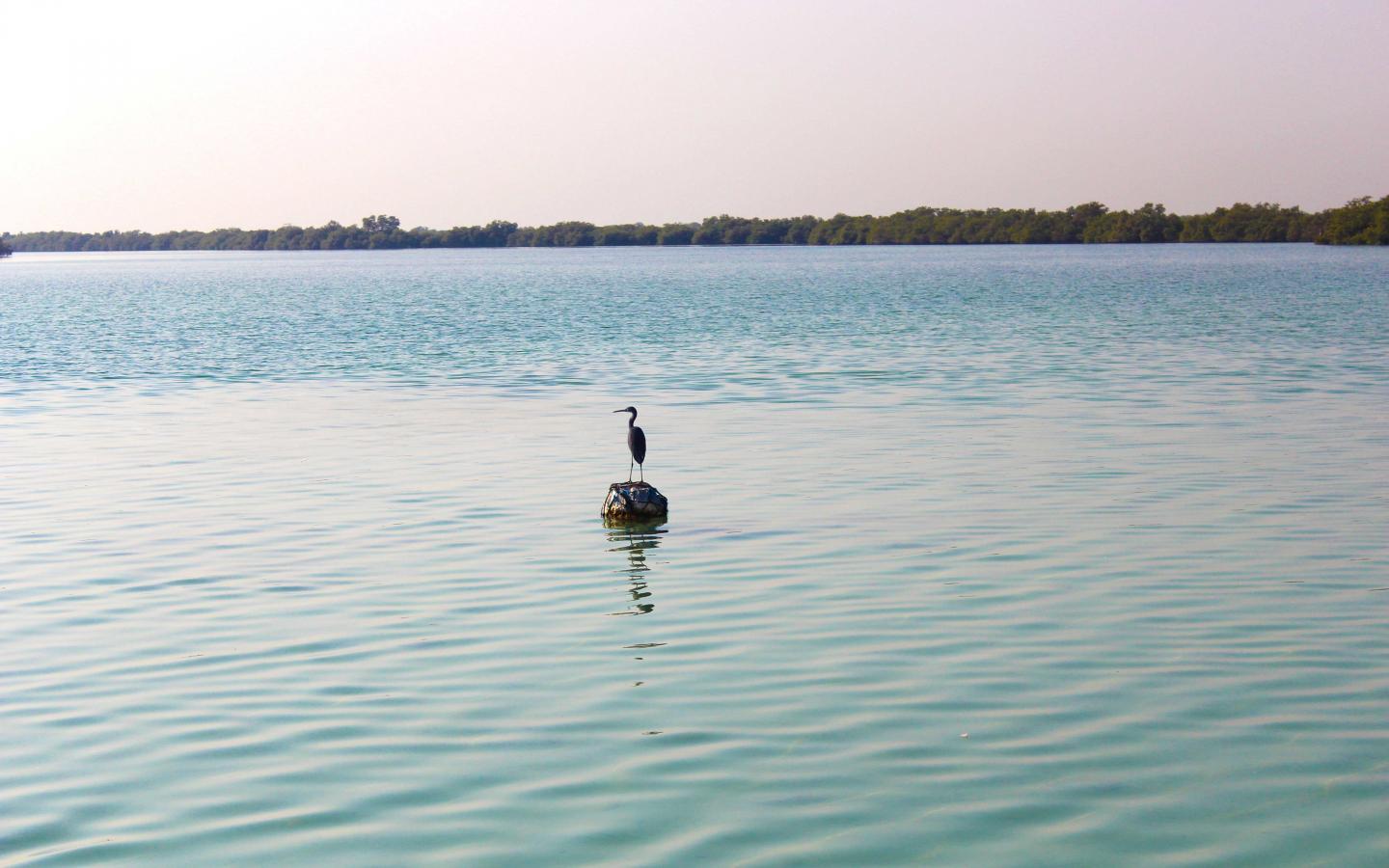 nature-based-solutions